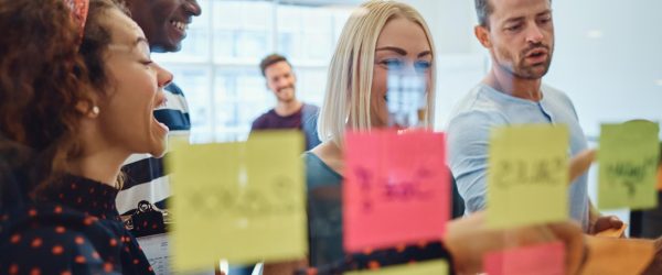 phenox-consultants-suriname-samen-aan-het-werk